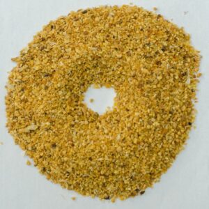 Garlic (Allium sativum)