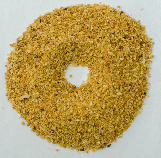 Garlic (Allium sativum) Garlic (Allium sativum)