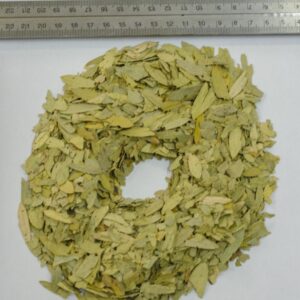 Senna Leaves (Senna alexandrina)