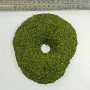 Dill Leaves (Anethum graveolens)