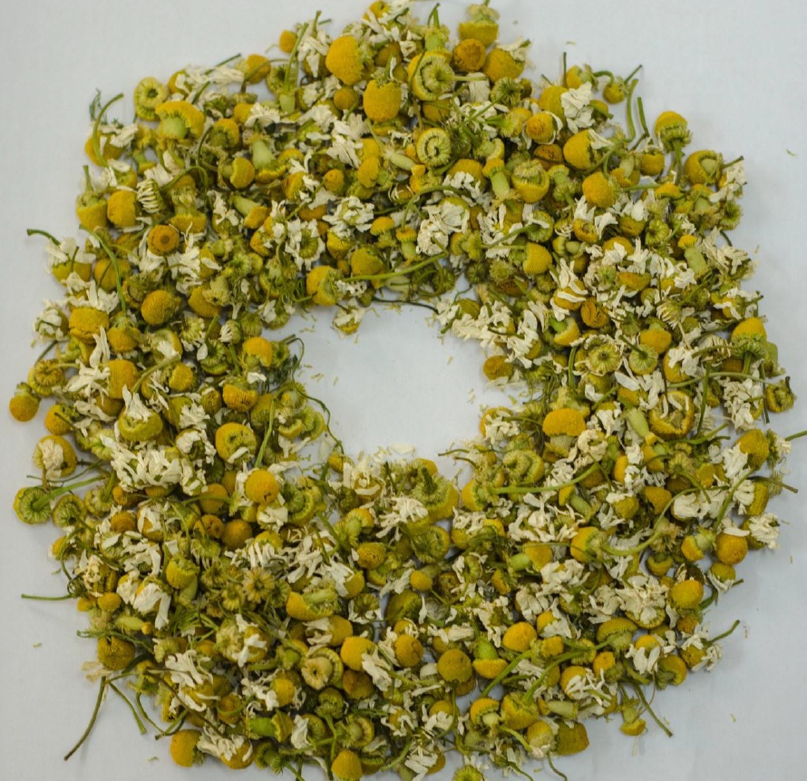 3 Chamomile Flowers