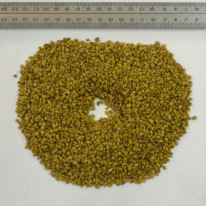 Fenugreek Seeds (Trigonella foenum-graecum)