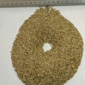 Dill Seeds (Anethum graveolens)