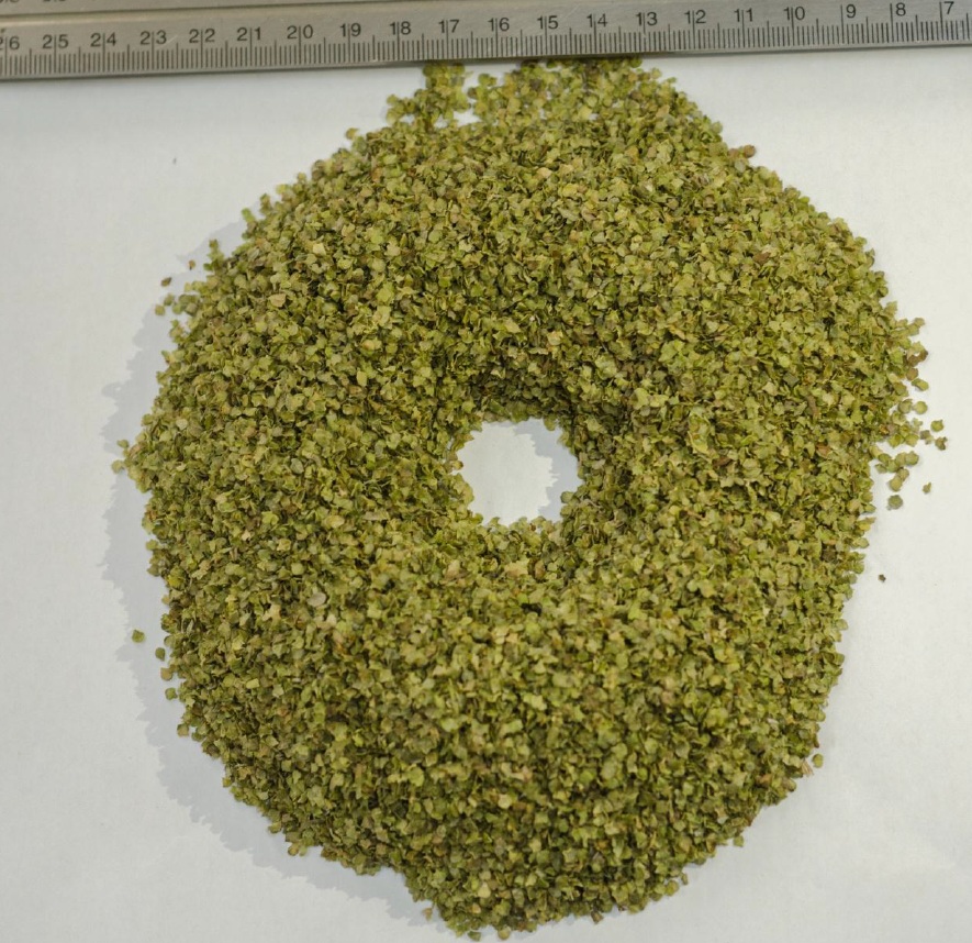 37 Marjoram (Origanum majorana)