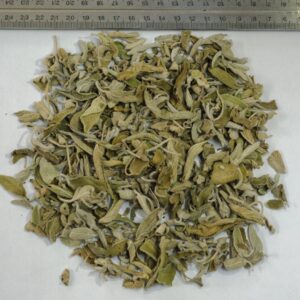 Sage Leaves (Salvia officinalis)