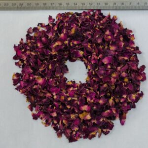 Red Rose (Rosa spp.)