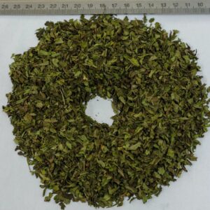 Dried Peppermint (Mentha piperita)