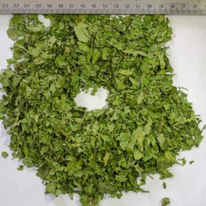 Dried Coriander Leaves (Coriandrum sativum)