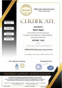 9366 29.05.24 1716989822 212x300